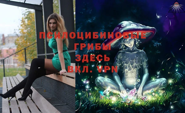 винт Верея