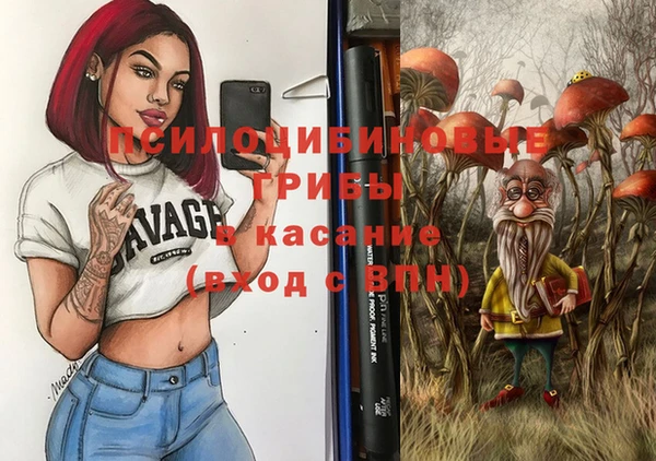 винт Верея