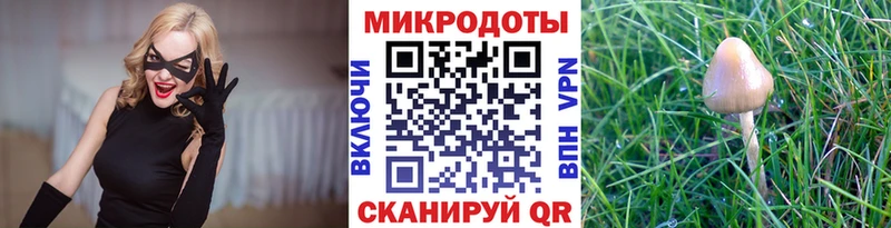 Галлюциногенные грибы мицелий магазин гидра рабочий сайт Гвардейск